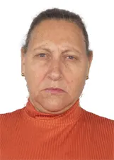 INÊS MARIA ALVARENGA ALVES