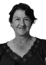 LUZINETE DAMIN SILVERIO