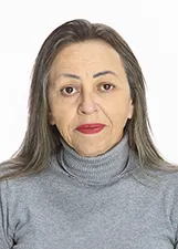 SHIRLEI TERESINHA BRAGA MOTTI