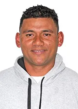 DIEGO UBIRATÃ DE BORBA PEREIRA