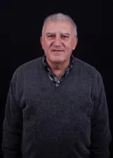 LUIS FERNANDO ALVES DE GODOI