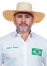 NELSON AMARAL DA SILVA