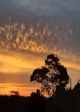 ILSON MARQUES DOS SANTOS