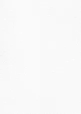 CARLOS DONIZETE DOS SANTOS