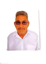 MANUEL RIBAMAR DA SILVA FARIAS