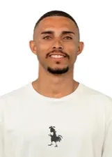 VINICIUS CARLOS BARCELOS DA SILVA FERNANDES