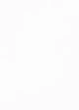 LAURISTON ROBERTO FERREIRA BARROS