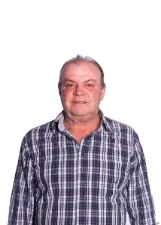 DARCY MARANGONI JUNIOR