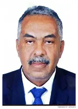 VALDEMIR PEREIRA DOS SANTOS