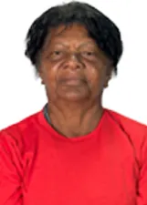 VALDELICE DE JESUS SANTOS