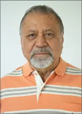 DOMINGOS ALVES VIANA