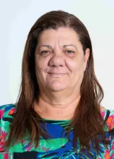 MARIA WILSA VIEIRA SANTOS FELIX