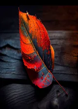 CASSIA LIMA TEIXEIRA