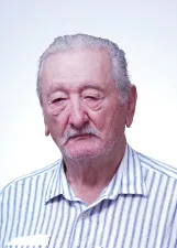 INELSON BOSA