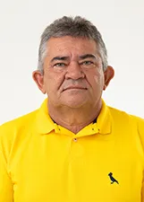 NELSON MENDES DE MENESES