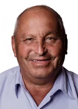 NELSON BANDIERA DE MATTOS