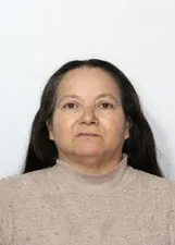 SIRLEI DOMINGOS DA SILVA