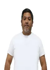 LUIZ TEIXEIRA DE LARA