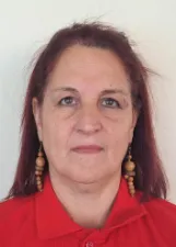 EDILEUZA APARECIDA LACERDA RAMOS