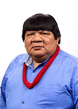 ALMIR NARAYAMOGA SURUI