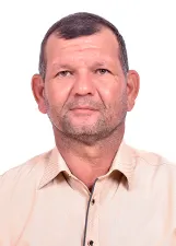 ROBERTO GODOI HAMMES