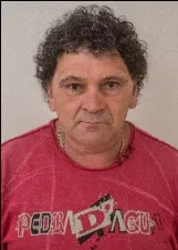 ADELINO SCHENEIDER