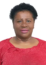 VERA REGINA DOS SANTOS BORGES