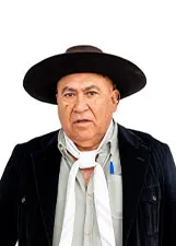 PAULO VOLMIR MORAES DA ROCHA