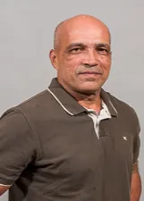 GESSE VERDE