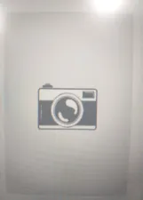 SARAH DE FATIMA PEREIRA FORMES